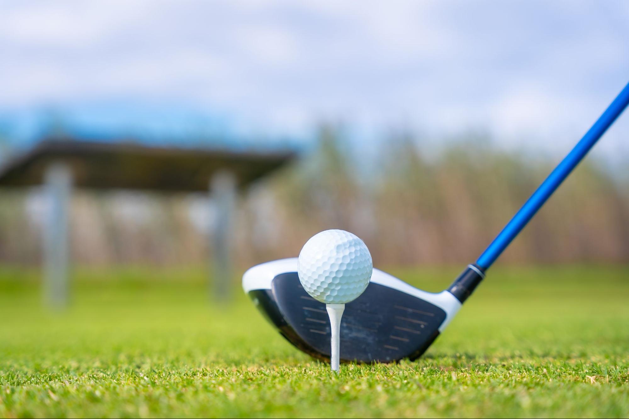 What Golf Balls Do Pros Use Golfer Start